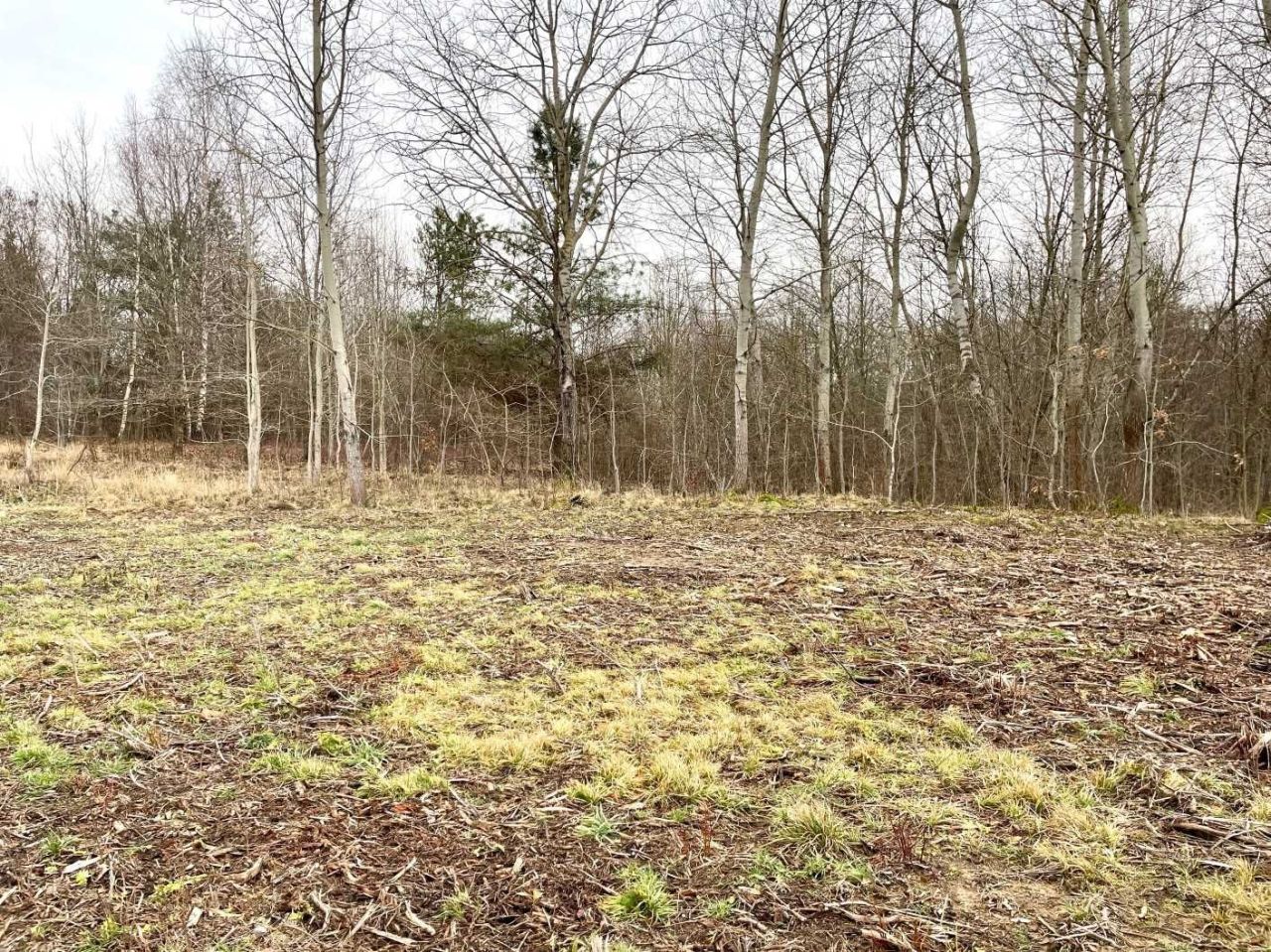 Działka budowlana Jurki. Zdjęcie 6