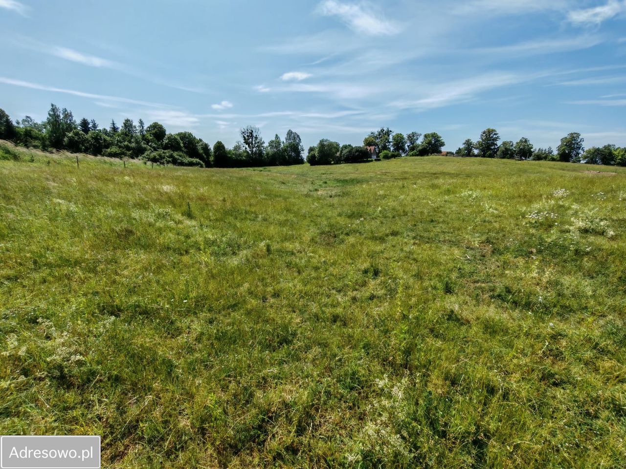 Działka rolna Dąbrówka. Zdjęcie 11