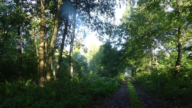 Działka budowlana Jatne, Złota. Zdjęcie 1