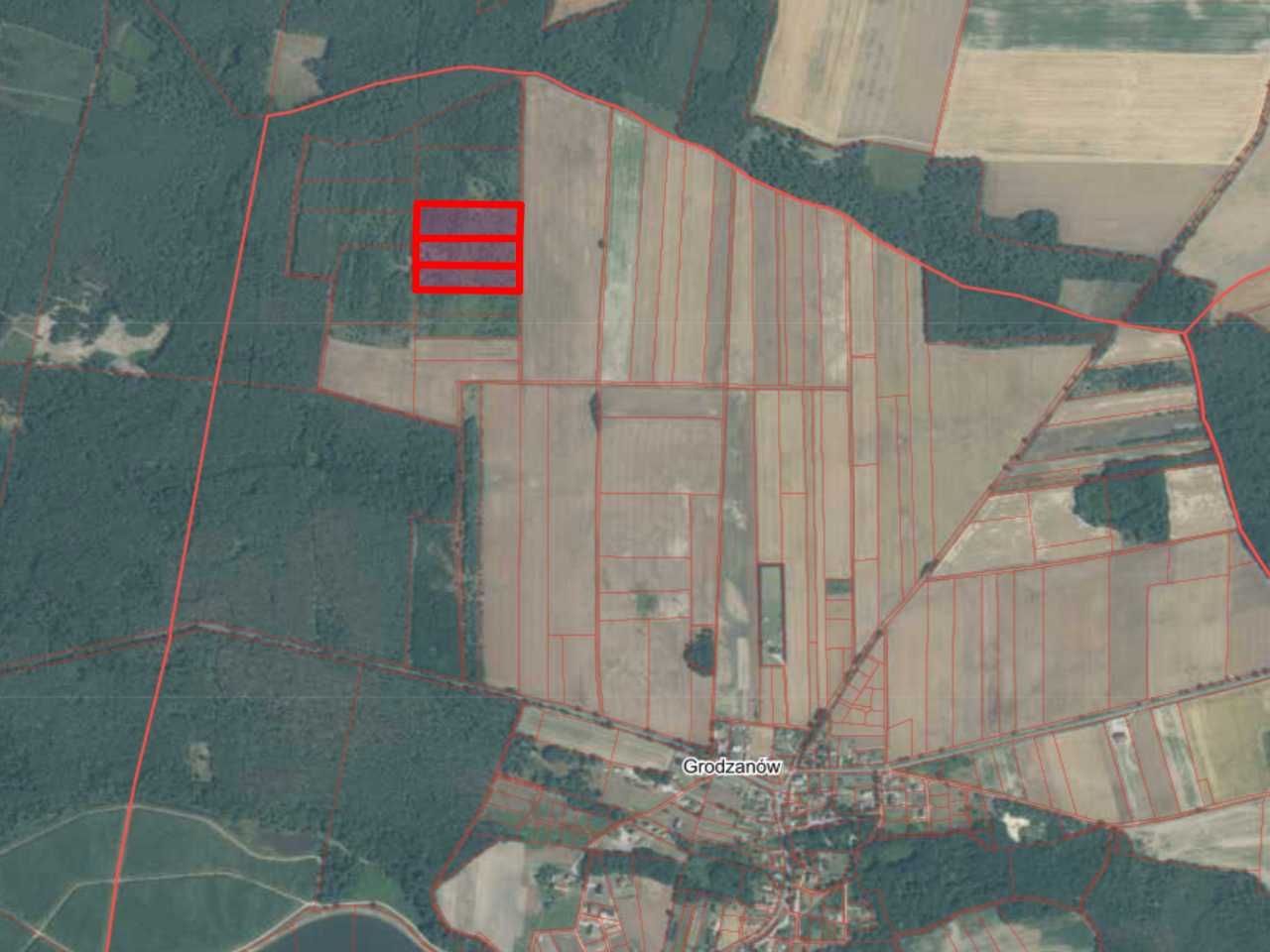 Działka rolna Grodzanów. Zdjęcie 3