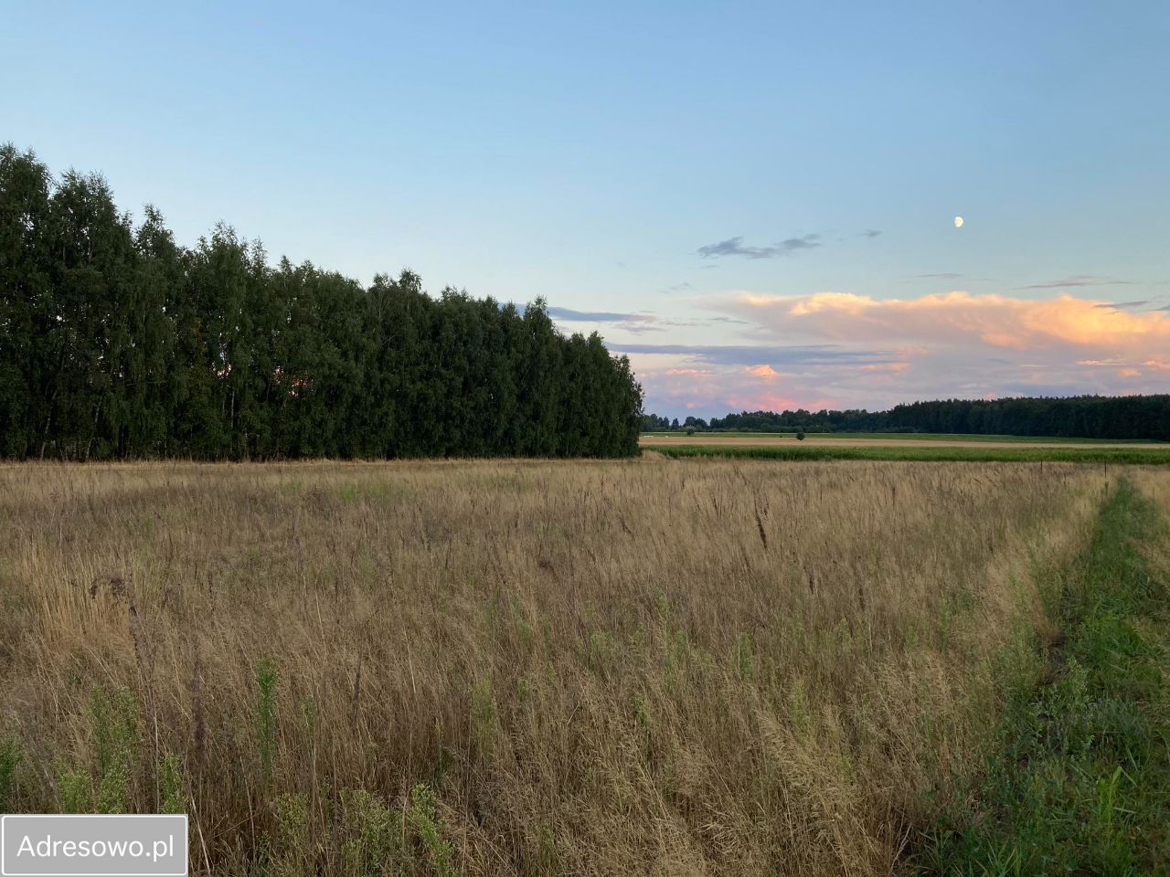 Działka Zalew. Zdjęcie 3