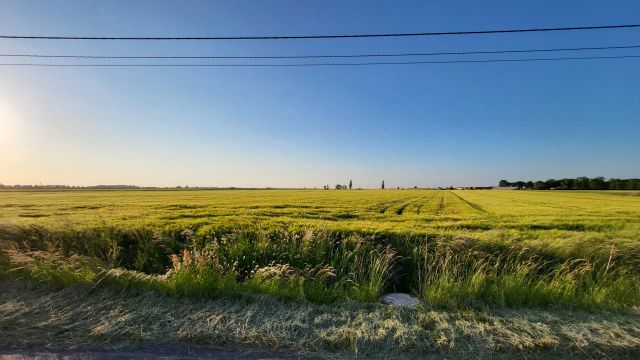 Działka rolno-budowlana Konary. Zdjęcie 12