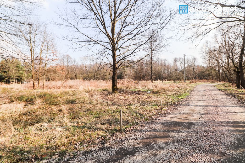 Działka budowlana Przeginia Narodowa, ul. Jana Matejki. Zdjęcie 4