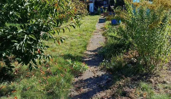 Działka rod Tczew, ul. Fabryczna