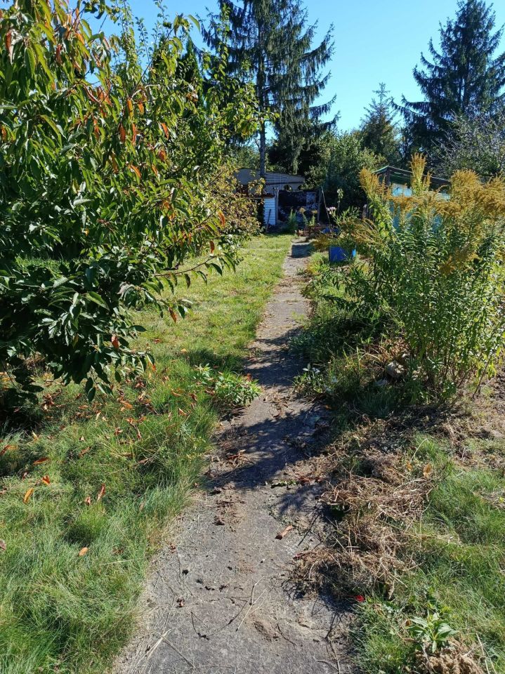 Działka rod Tczew, ul. Fabryczna. Zdjęcie 1