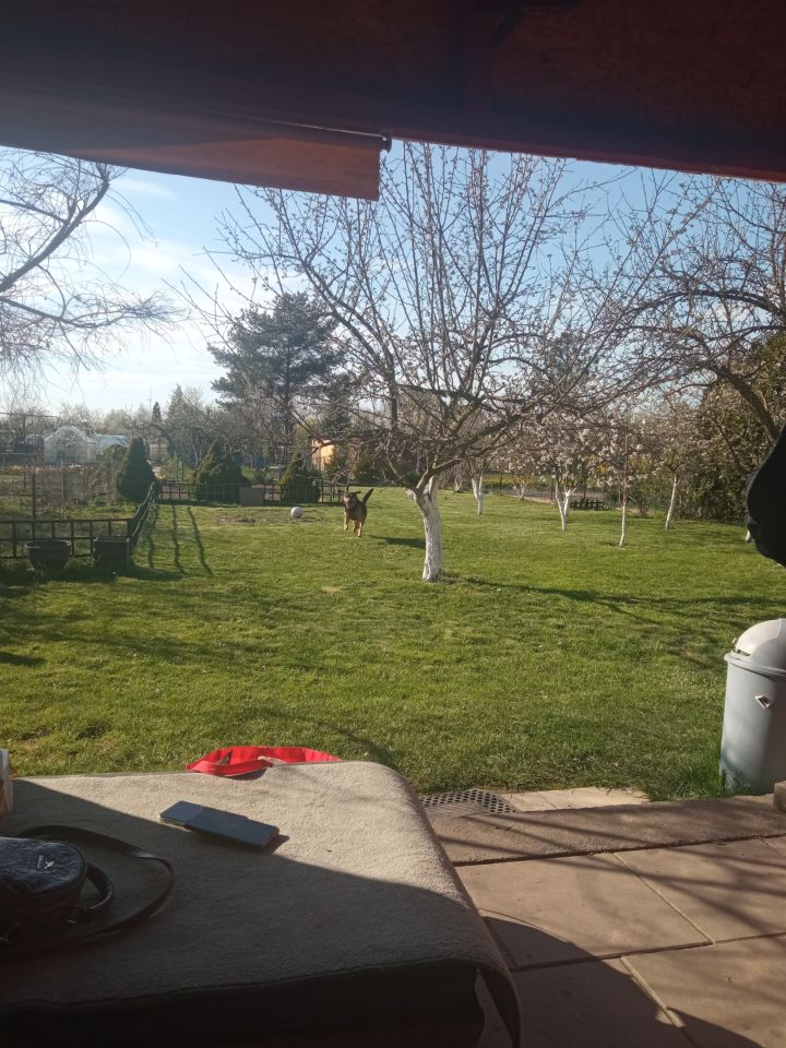 Działka rod Oleśnica, ul. Wileńska. Zdjęcie 9