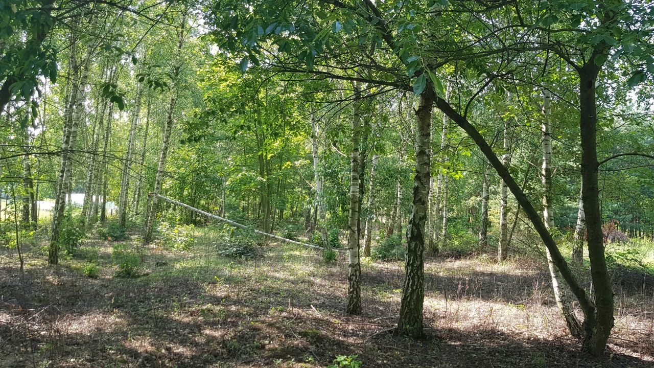 Działka rekreacyjna Orle