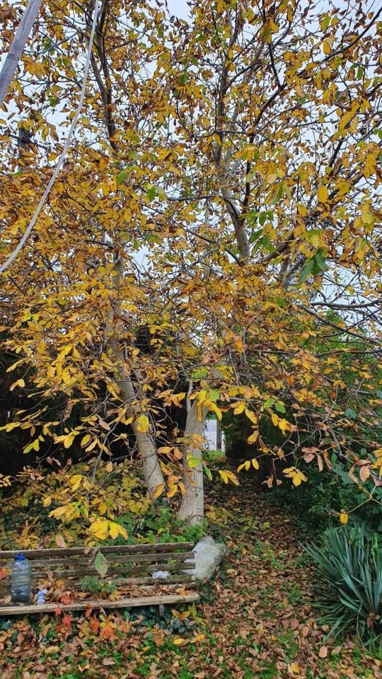 Działka budowlana Choceń, ul. Polna. Zdjęcie 5