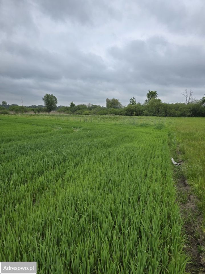 Działka rekreacyjna Windyki. Zdjęcie 4