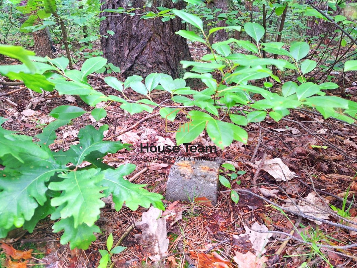 Działka budowlana Bydgoszcz Smukała Dolna, ul. Władysławy Kieliotis. Zdjęcie 7