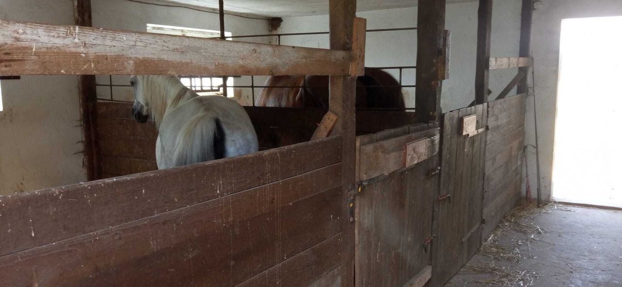 gospodarstwo Nowe Karmonki. Zdjęcie 6