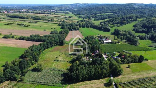 Działka rolna Bochnia Kurów. Zdjęcie 5