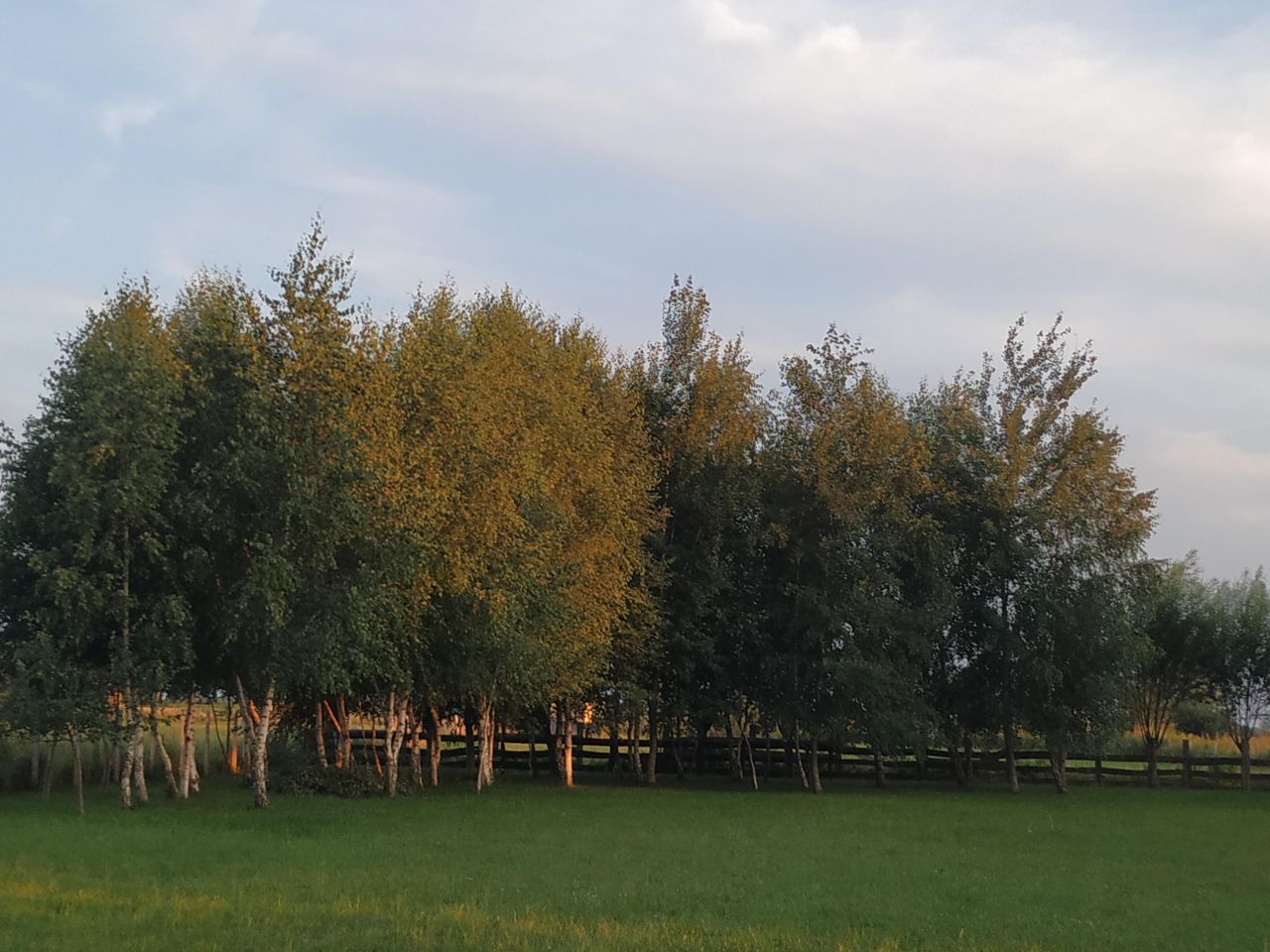 Działka rekreacyjna Kobyla Kępa. Zdjęcie 13