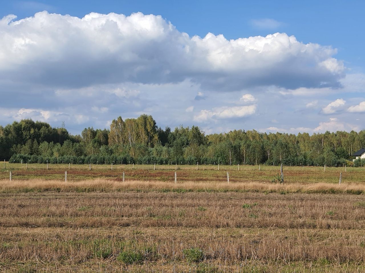 Działka budowlana Oleśnik. Zdjęcie 5