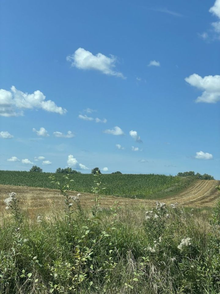 Działka rolna Kajnity. Zdjęcie 2