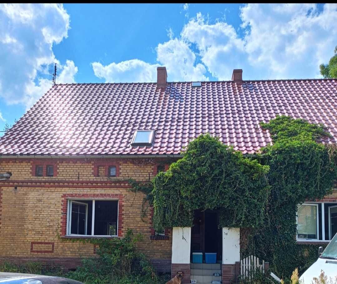 gospodarstwo, 7 pokoi Złotnik