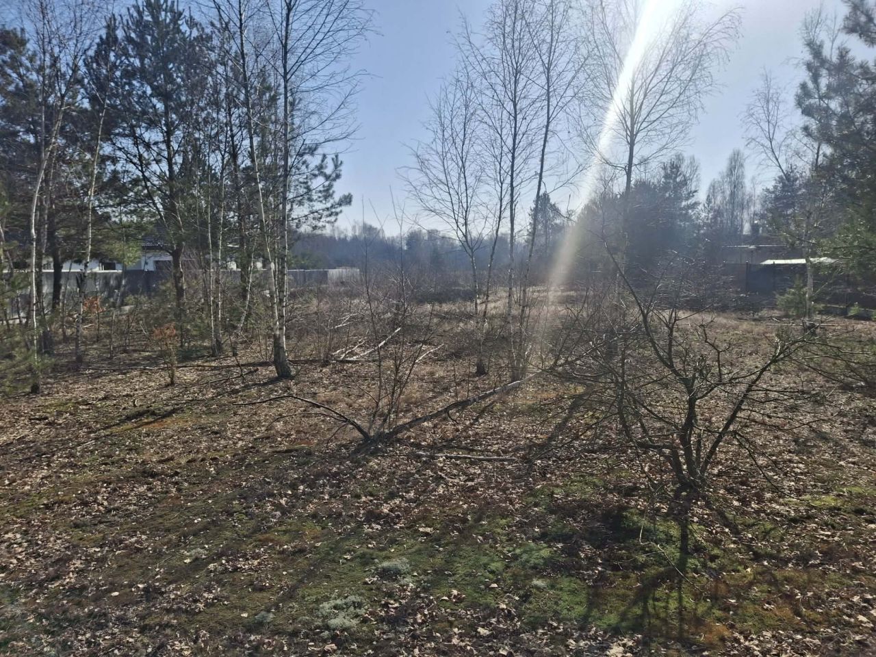 Działka budowlana Podbiel Kominki, Sosnowa. Zdjęcie 2