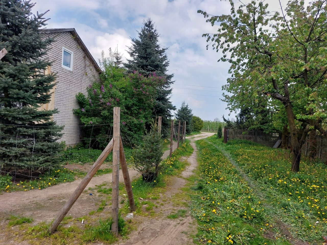 Działka budowlana Suszeniec, ul. Graniczna. Zdjęcie 3