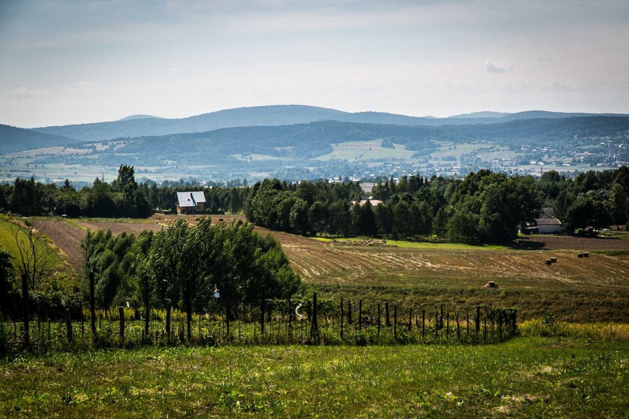 Działka rolna Korczyna. Zdjęcie 6