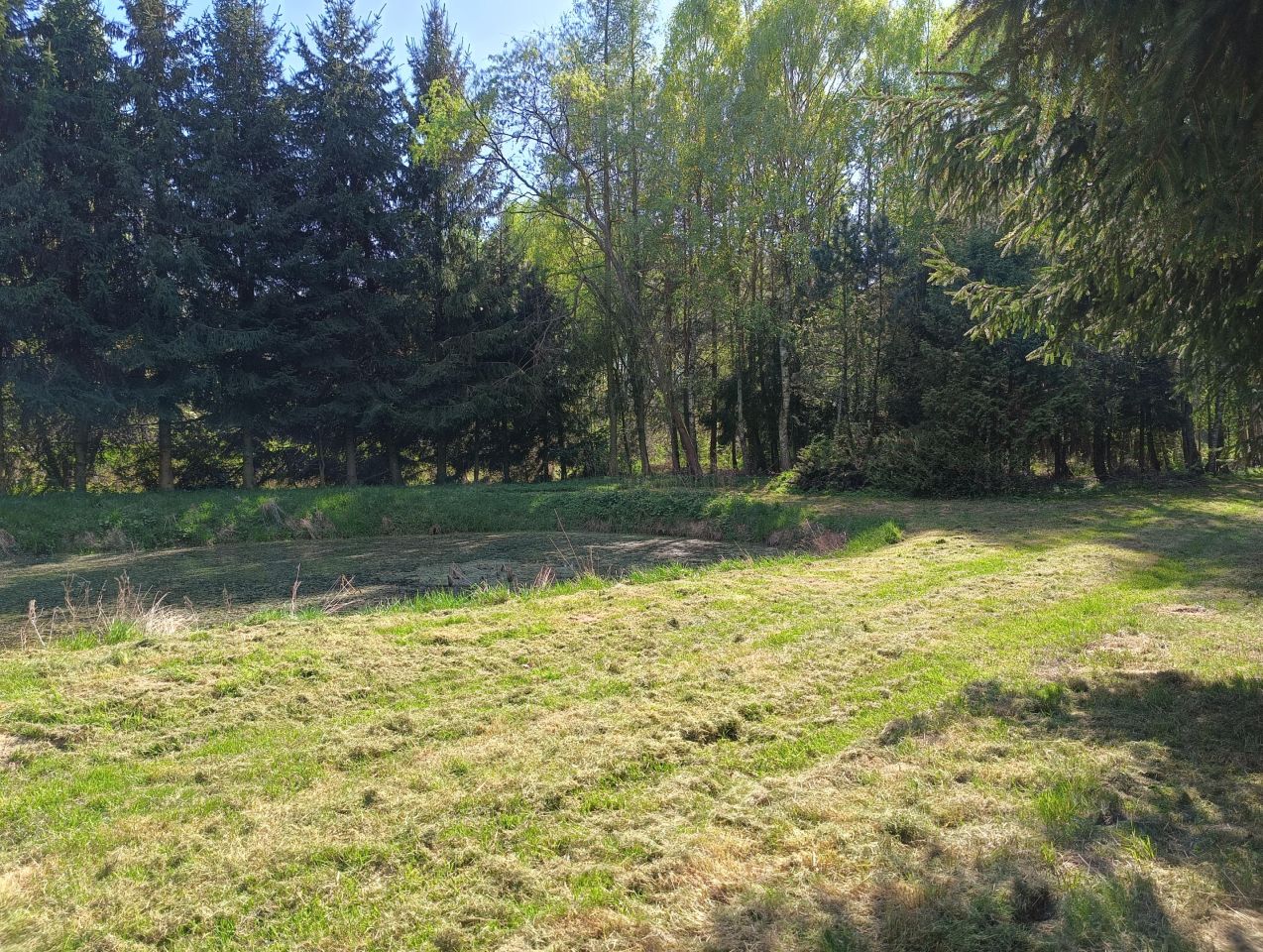 Działka budowlana Kopyść. Zdjęcie 10