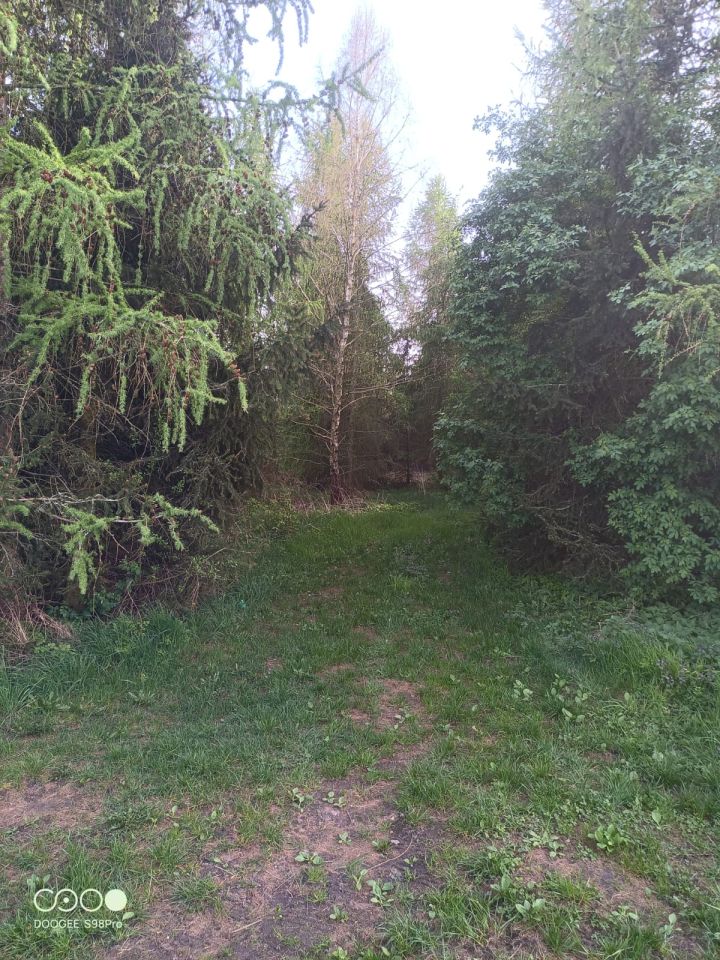 Działka rolno-budowlana Ciszkowo, ul. Polna. Zdjęcie 4