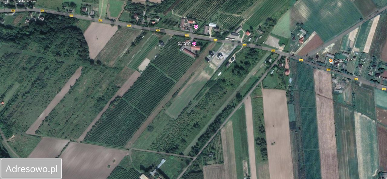 Działka budowlana Celejów. Zdjęcie 3