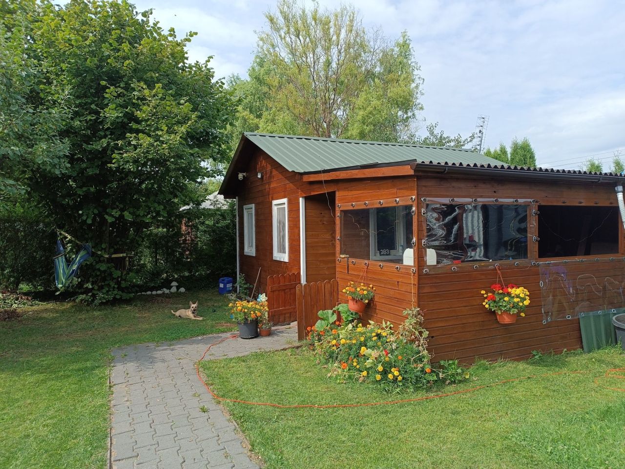 Działka rod Wołomin