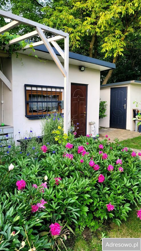 Działka rod Katowice Bogucice, ul. Na Obrzeżu. Zdjęcie 9