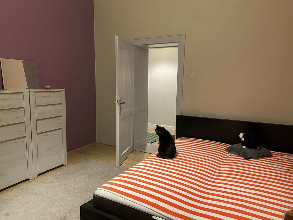 Mieszkanie 2-pokojowe Pabianice. Zdjęcie 2