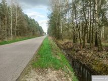 Działka leśna Hipolitów. Zdjęcie 1