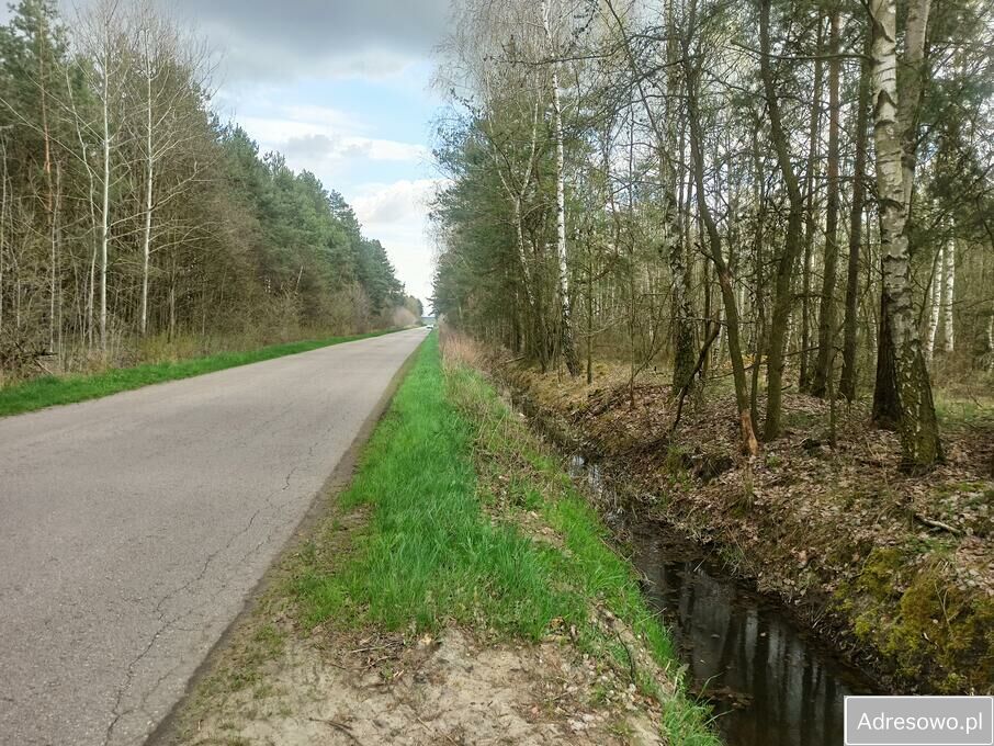 Działka leśna Hipolitów. Zdjęcie 2