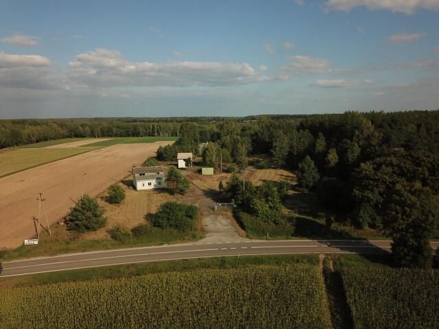 Działka inwestycyjna Przytuły-Las. Zdjęcie 10