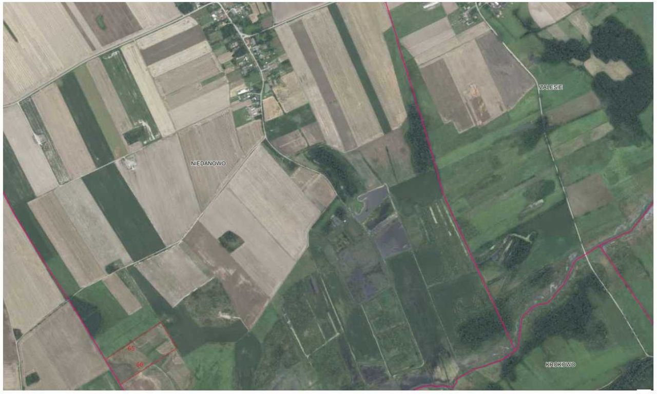 Działka rolna Niedanowo. Zdjęcie 2