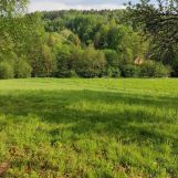 Działka budowlana Pietrusza Wola. Zdjęcie 3