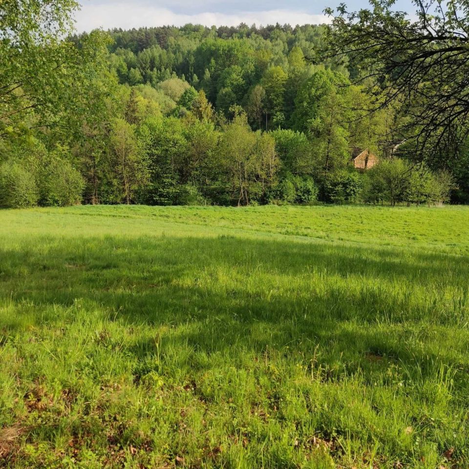 Działka budowlana Pietrusza Wola. Zdjęcie 4