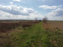 Działka rolno-budowlana Janczewice, ul. Żytnia. Zdjęcie 4