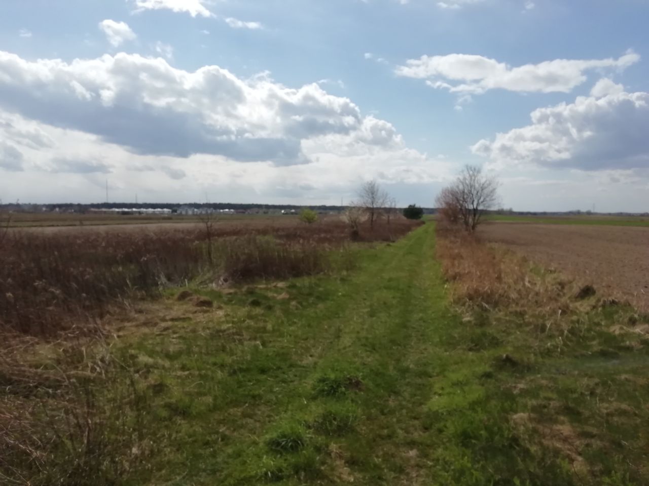 Działka rolno-budowlana Janczewice, ul. Żytnia. Zdjęcie 5