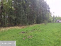 Działka leśna Bartniki, ul. Spokojna. Zdjęcie 3