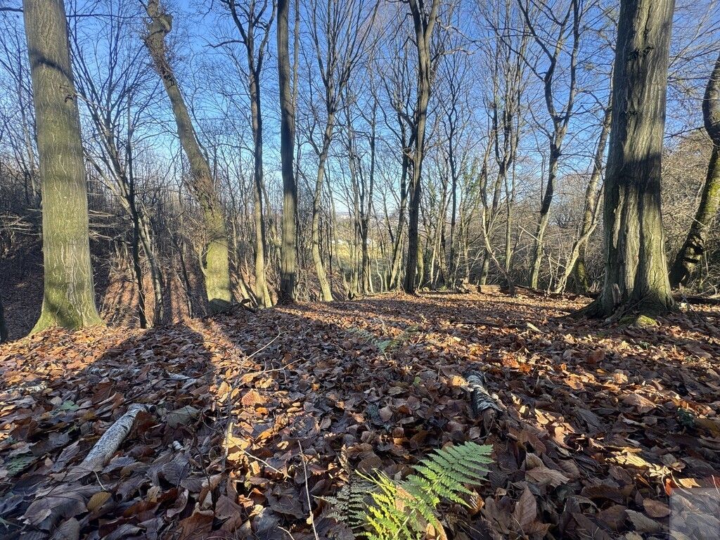 Działka leśna Przemyśl Kruhel Wielki, ul. Łowiecka. Zdjęcie 7