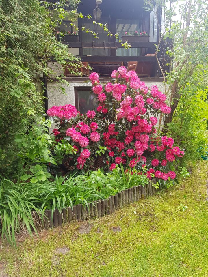 Działka rekreacyjna Łosie, ul. Czyżyka. Zdjęcie 26