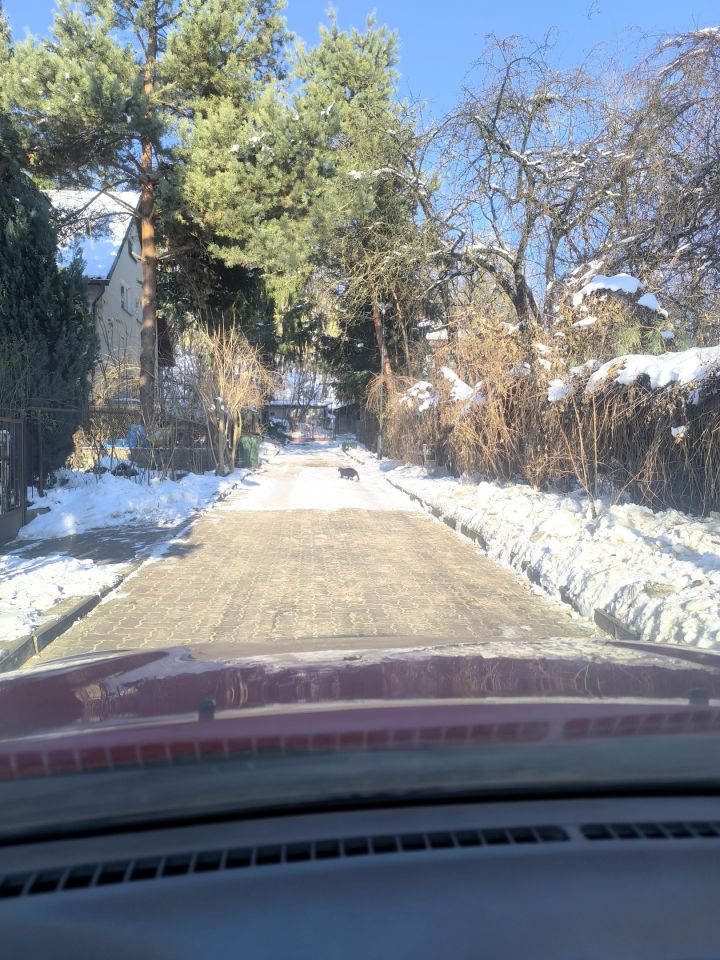 dom wolnostojący, 6 pokoi Puławy Centrum, ul. Żulinki. Zdjęcie 12
