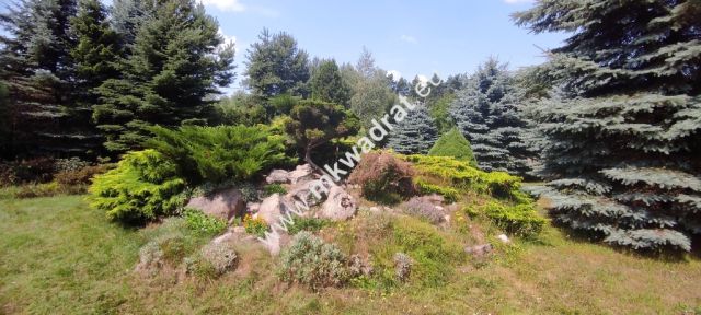 siedlisko, 3 pokoje Budy Wolskie. Zdjęcie 18