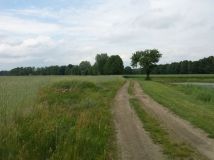 Działka budowlana Wilków. Zdjęcie 2