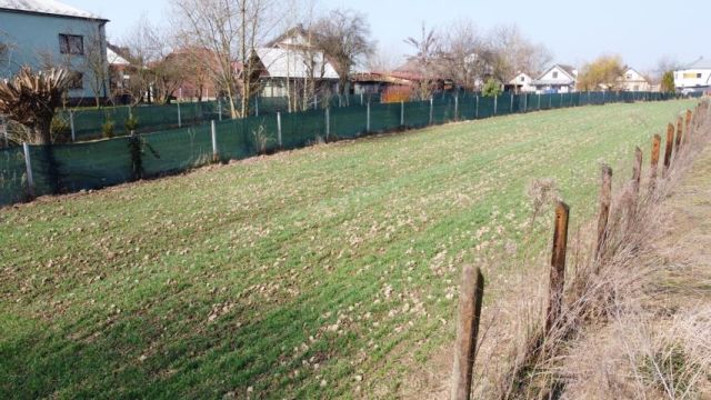 Działka rolno-budowlana Damienice. Zdjęcie 4