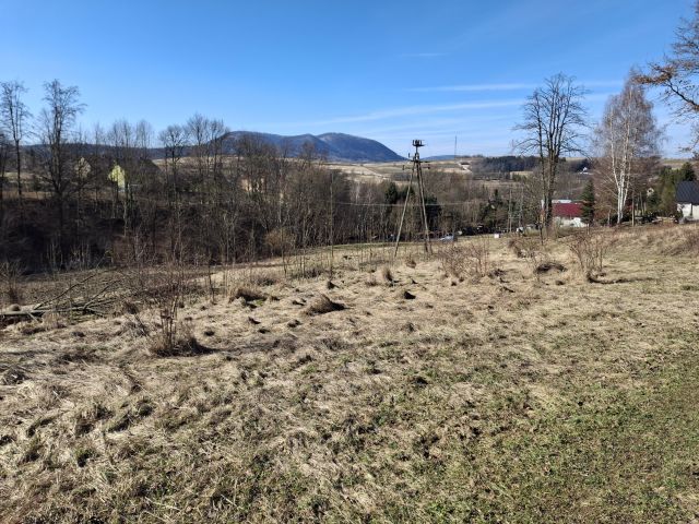 Działka rolno-budowlana Lubatowa. Zdjęcie 1