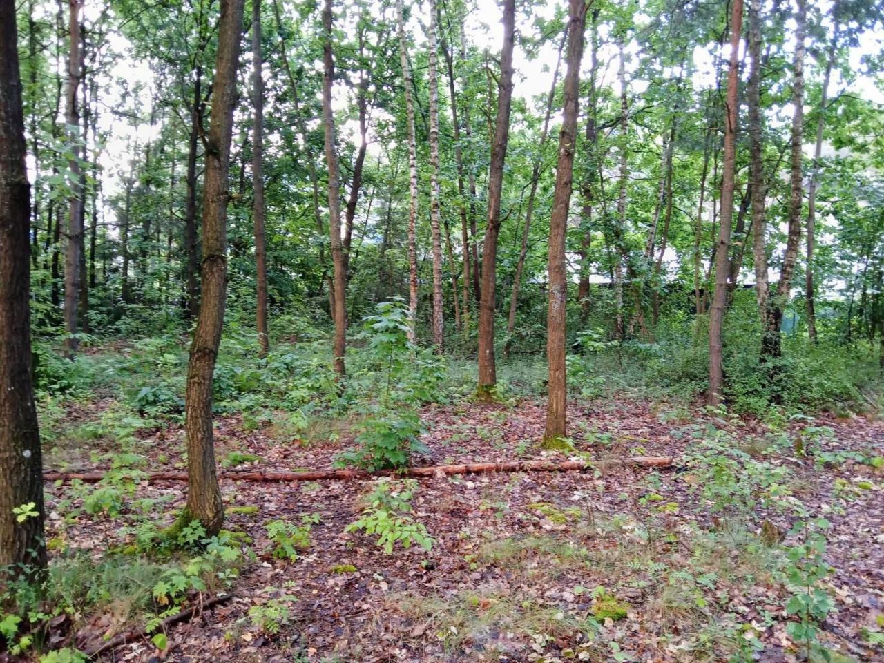 dom wolnostojący Brzeźce, ul. Główna. Zdjęcie 6