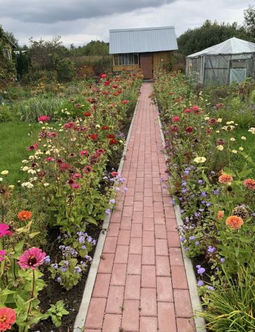 Działka rod Kozienice. Zdjęcie 1