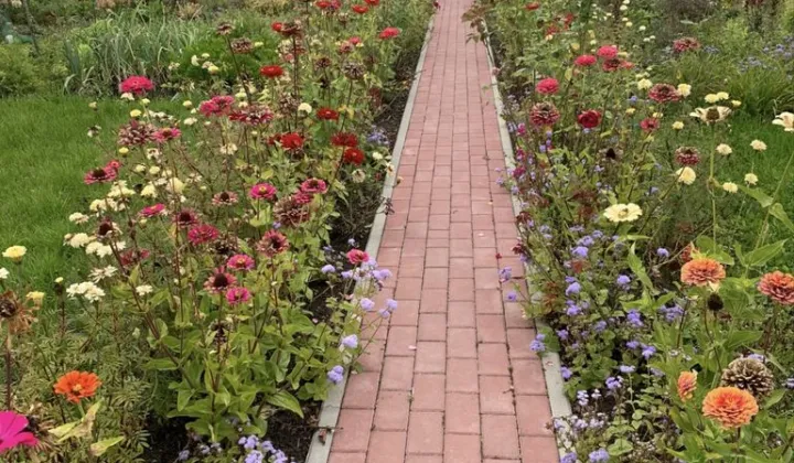 Działka rod Kozienice