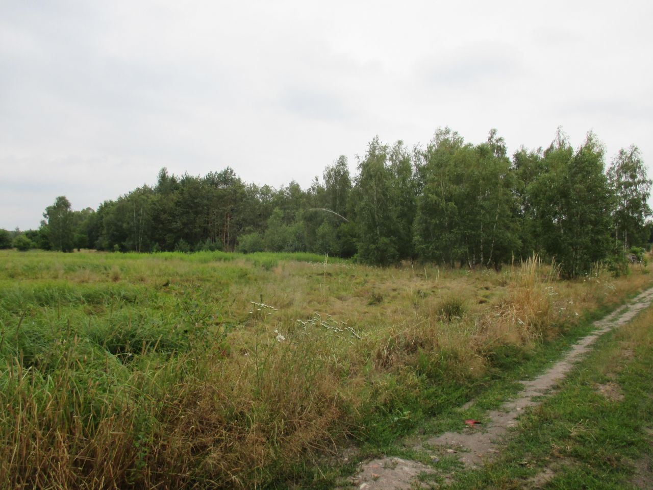 Działka rolna Bagno