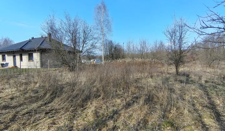Działka budowlana Skuły Nadleśnictwo Skuły, ul. Jaworowa